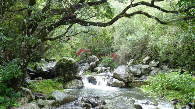 Maison - 200 m² - 6 pièces