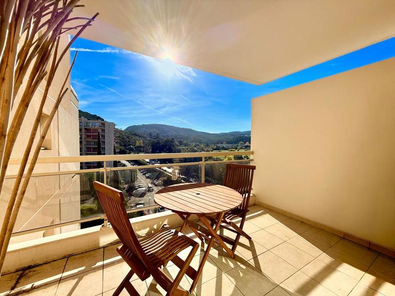 Studio - 29 m² - 1 pièce