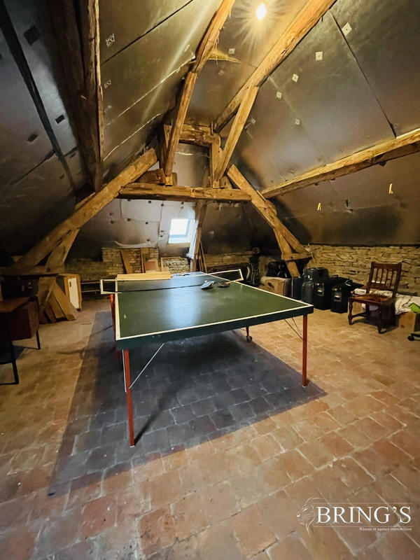 Maison ancienne - 259 m² - 8 pièces