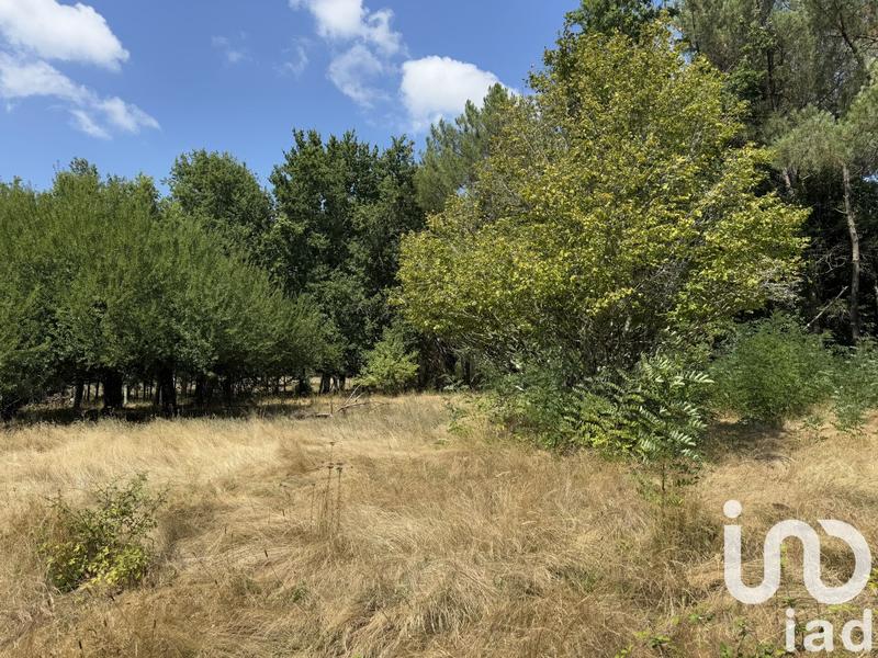 Maison - 161 m² - 5 pièces