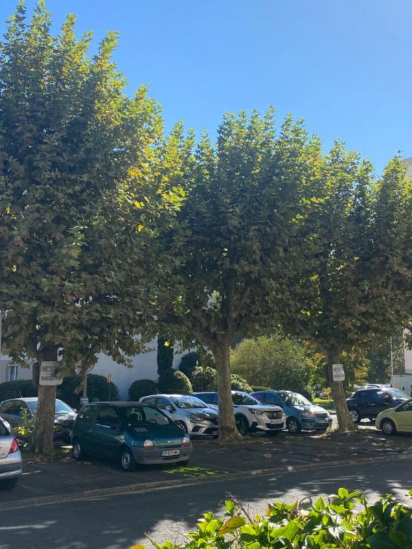 Appartement - 80 m² - 3 pièces