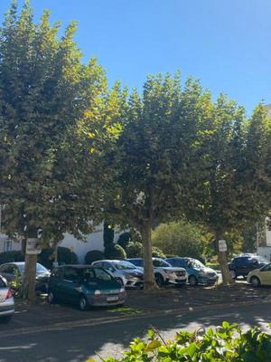 Appartement - 80 m² - 3 pièces