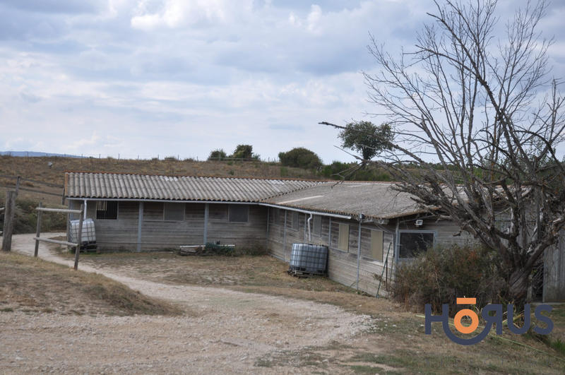 Viager - Maison - 400 m² - 14 pièces