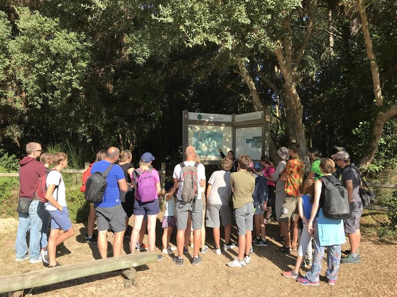 Partez à la découverte de la Réserve Naturelle du Courant d'Huchet