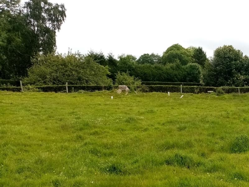 Terrain constructible - 1 000 m²