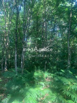 Terrain agricole - 5 550 m²