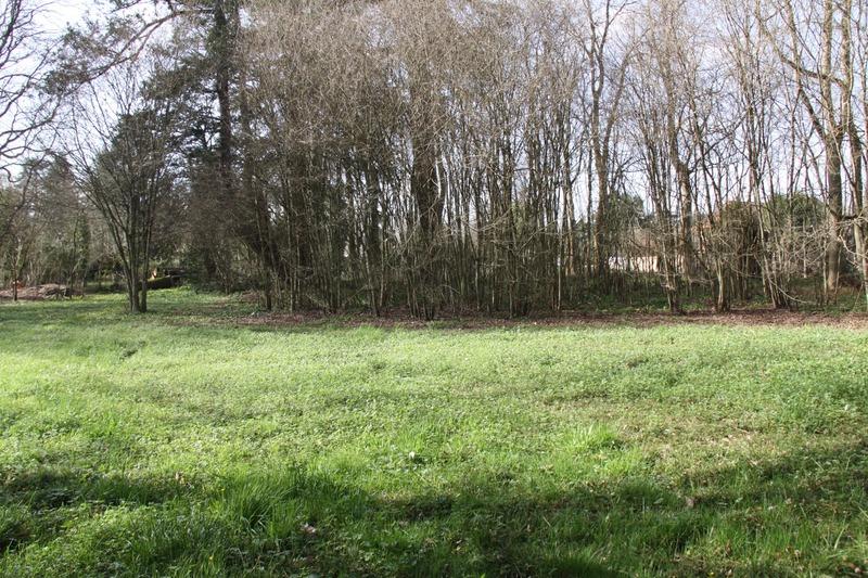 Terrain constructible - 8 124 m²