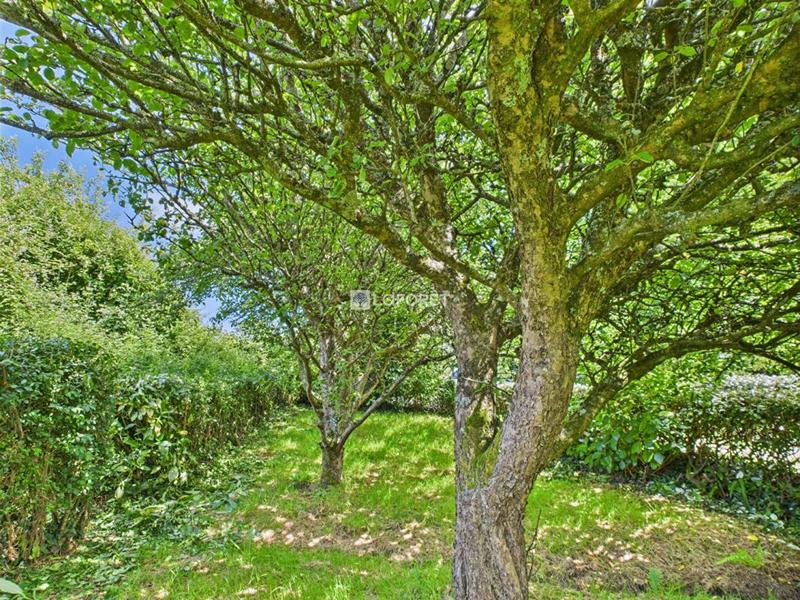 Corps de ferme - 94 m² - 5 pièces