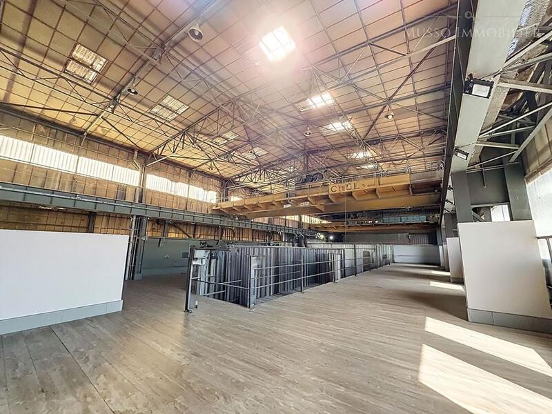 Entrepôt - 800 m² - 5 pièces