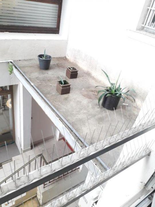 Appartement - 136 m² - 5 pièces