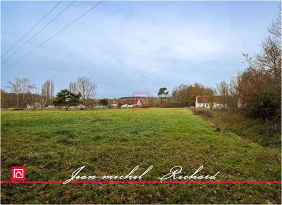 Terrain constructible - 24 590 m²