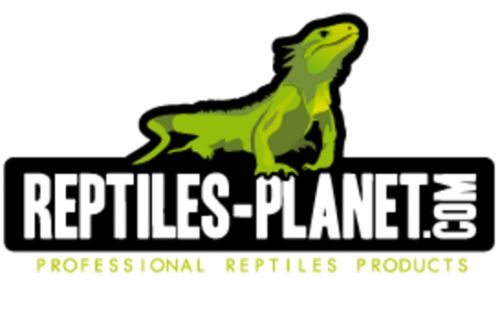 Reptiles Planet