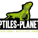 Reptiles Planet