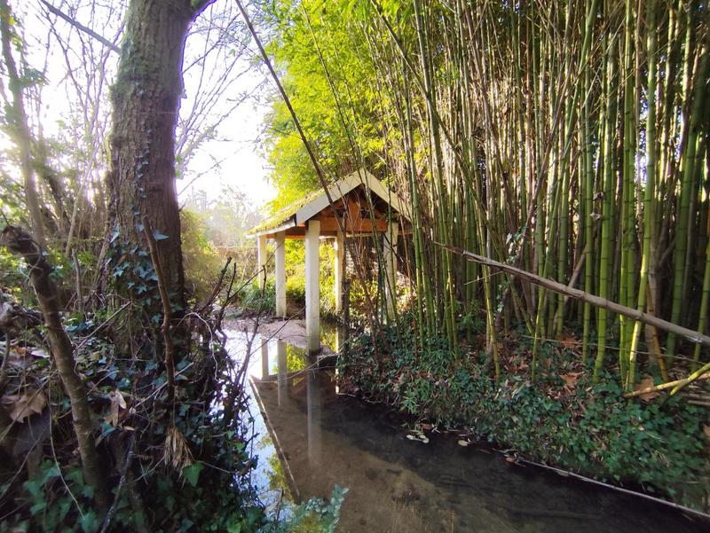 Maison en pierre - 71 m²