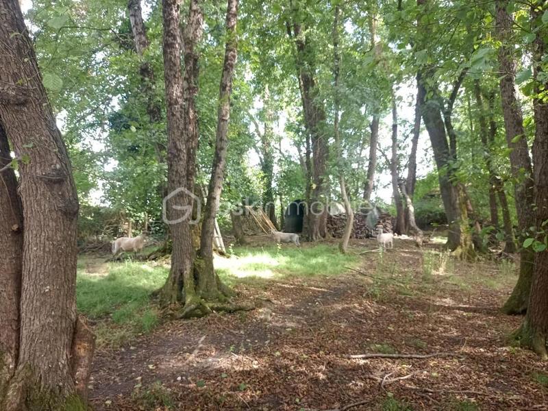 Villa - 177 m² - 6 pièces