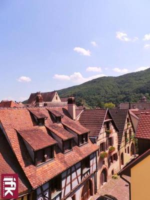 Duplex - 51 m² - 2 pièces