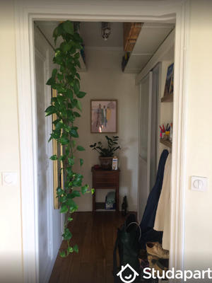 Appartement - 38 m² - 2 pièces