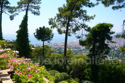 Propriété - 475 m² - 7 pièces