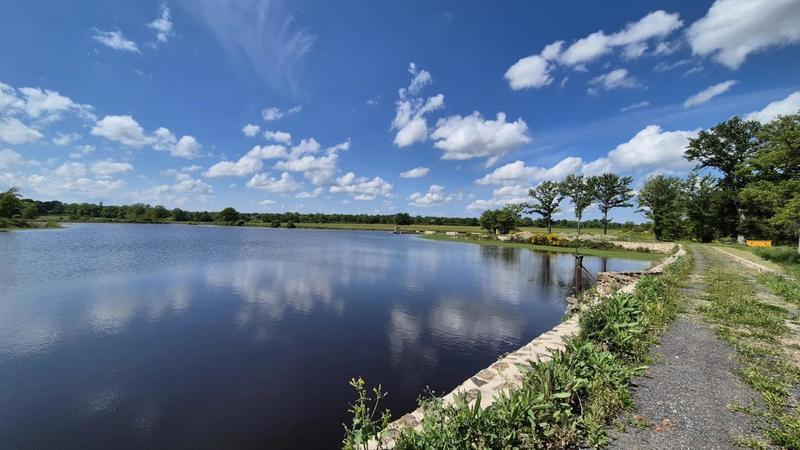 Étang - 171 986 m²