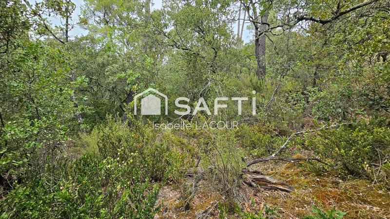 Terrain agricole - 11 136 m²