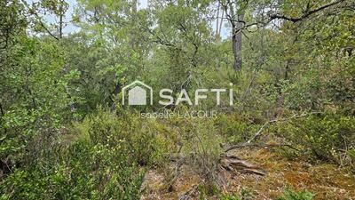 Terrain agricole - 11 136 m²