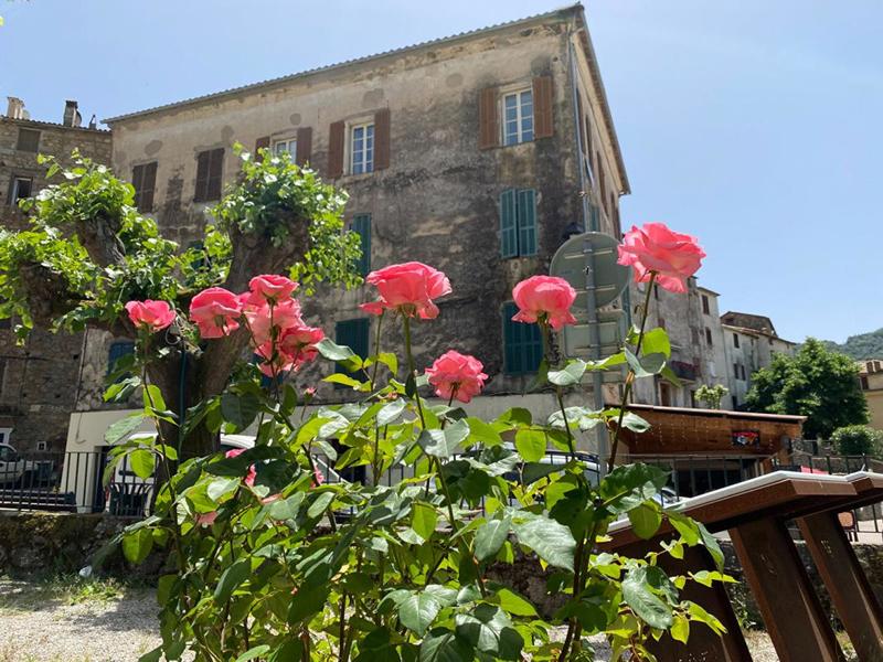 Appartement - 78 m² - 3 pièces