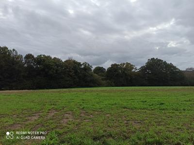 Terrain constructible - 994 m²