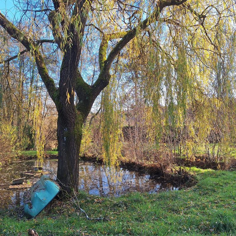 Maison - 233 m² - 8 pièces