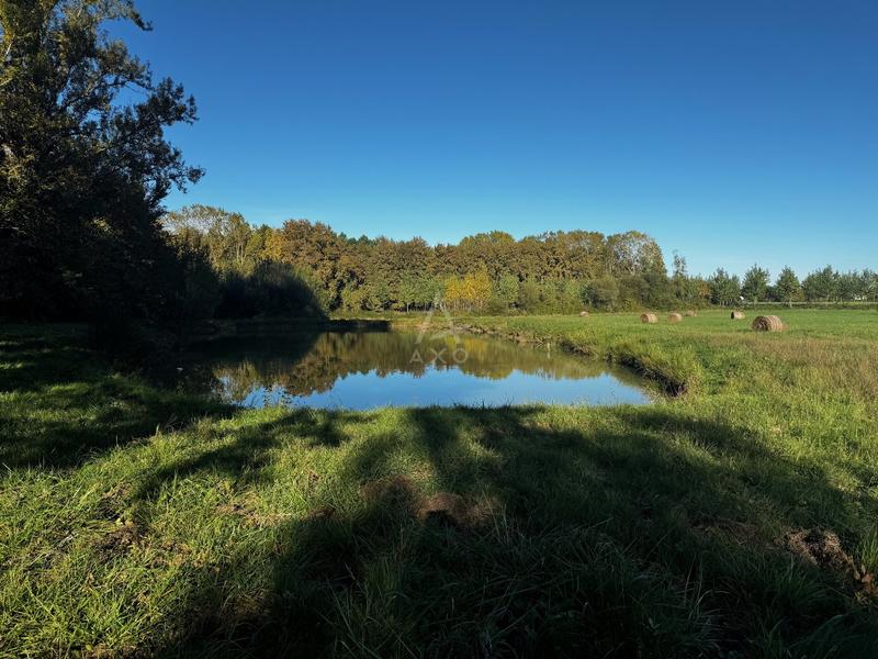 Propriété viticole - 129 m² - 5 pièces