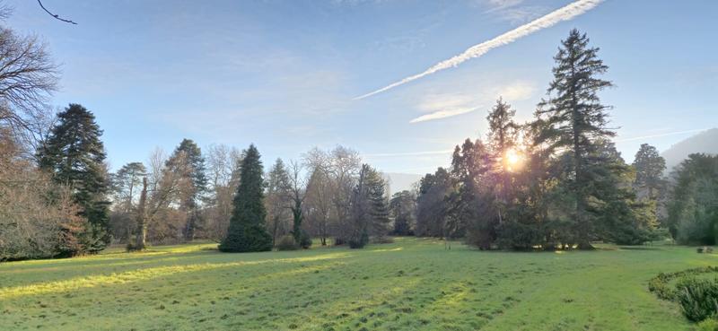 Les aventuriers en herbe