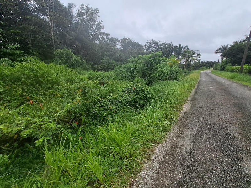 Terrain constructible - 3 444 m²