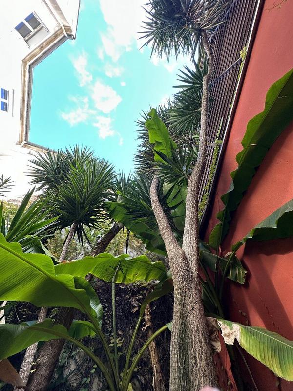 Maison - 215 m² - 9 pièces