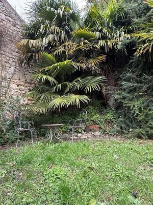 Maison ancienne - 190 m² - 9 pièces