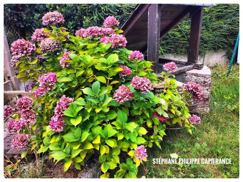 Maison - 148 m² - 6 pièces