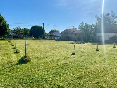 Terrain constructible - 808 m²