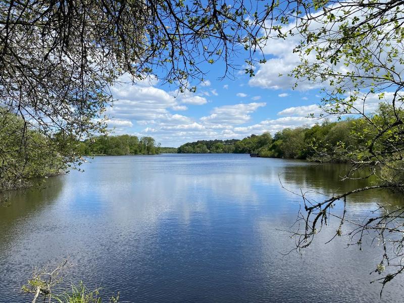 Visite guidée : Vous avez dit "ptère" ?