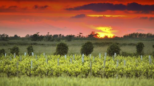 Camping les Lauriers