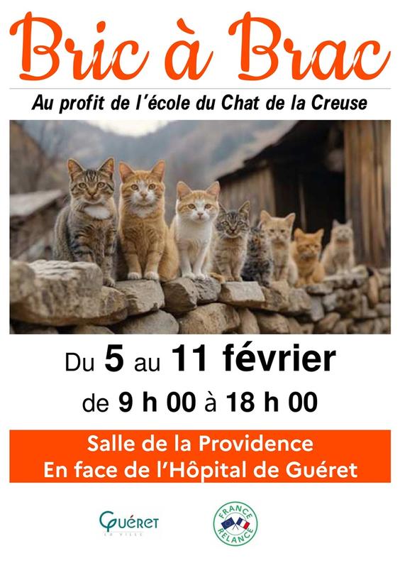 Bric à brac au profit de l'Ecole du Chat de la Creuse