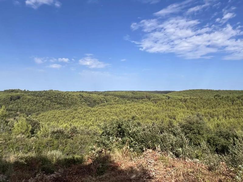 Terrain de loisirs - 2 006 m²