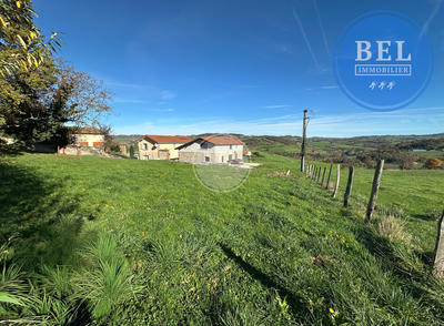 Terrain - 589 m²