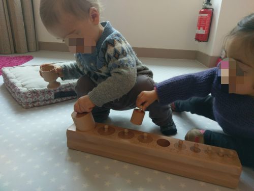 Nos Eléphants Roses