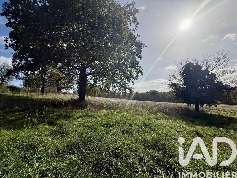 Terrain - 12 710 m²