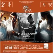 29ème Festival International des Arts Martiaux