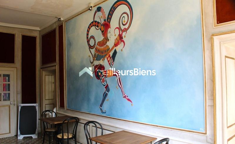 Château - 1 250 m² - 30 pièces