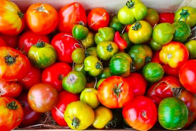 Les légumes bio du chemin des Clapiers