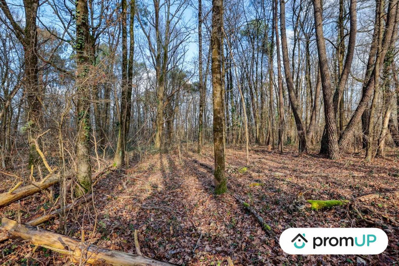 Terrain de loisirs - 770 m²