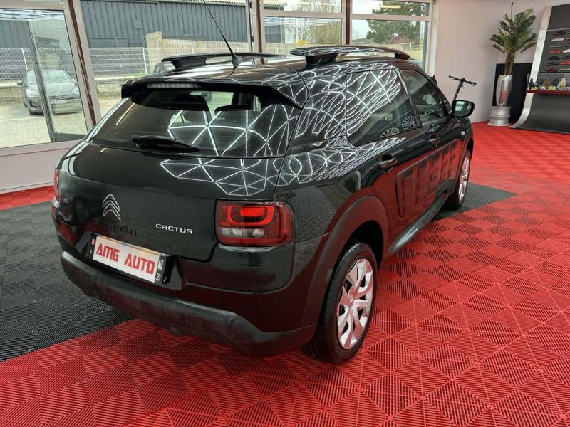 Citroën C4 Cactus 1.6 BlueHDi 100 Cv