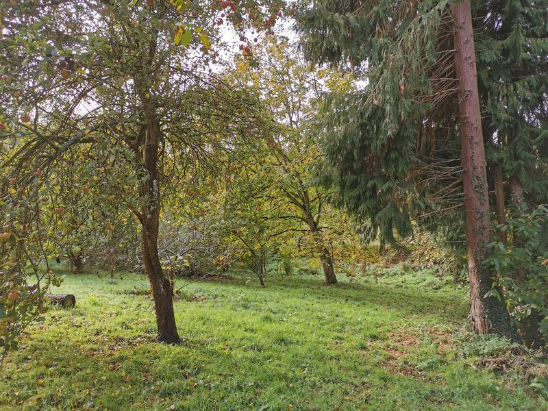 Maison - 119 m² - 5 pièces