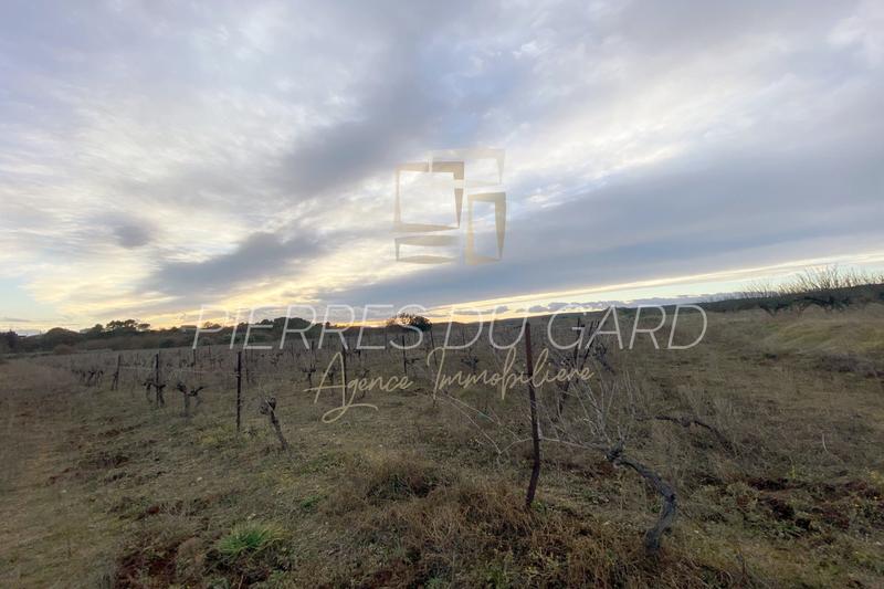 Terrain agricole - 20 000 m²