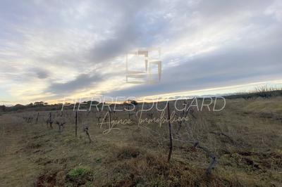 Terrain agricole - 20 000 m²